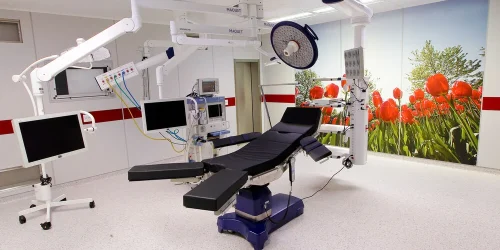 large-PauloLobo (32)